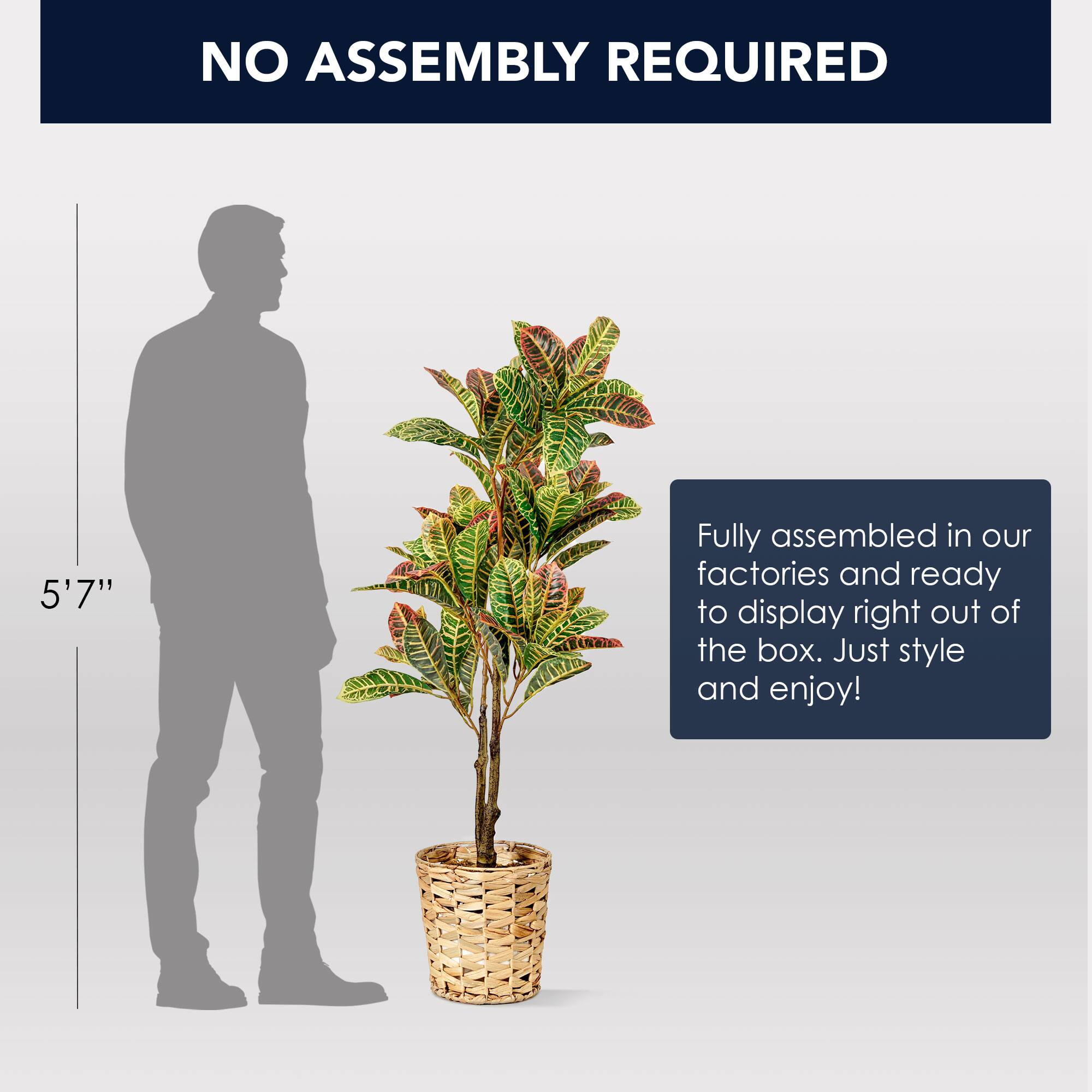 American Art Decor 4ft. Croton Tree in Water Hyacinth Woven Basket